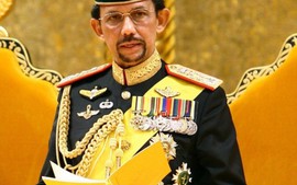 Chủ tịch nước, Thủ tướng gửi điện mừng Quốc vương Brunei