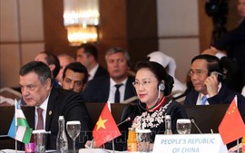Việt Nam ủng hộ những hoạt động hợp tác với các nghị viện Á Âu