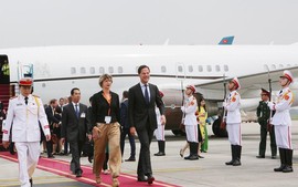 Thủ tướng Vương quốc Hà Lan bắt đầu thăm chính thức Việt Nam