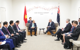 Thủ tướng gặp các nhà lãnh đạo Nga, Hàn Quốc, Đức, Australia, một số tổ chức quốc tế