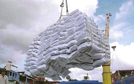 Xuất khẩu gạo: Thanh tra Chính phủ vào cuộc