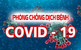 KHẨN: Tìm người đi cùng máy bay, xe bus, đến nhà hàng có người mắc COVID-19