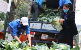 Tặng miễn phí nông sản, thực phẩm sạch cho hàng chục nghìn người lao động