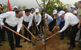 Chùm ảnh: Thủ tướng dự Lễ hưởng ứng chương trình trồng 1 tỷ cây xanh