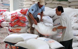 Xuất cấp gạo cho tỉnh Kon Tum