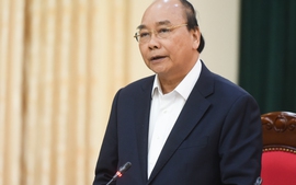 Thủ tướng: Tuyên Quang phải trở thành cứ điểm quan trọng của ngành gỗ Việt Nam