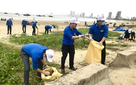 Đà Nẵng triển khai chương trình ‘Thành phố sạch, đại dương xanh’ 