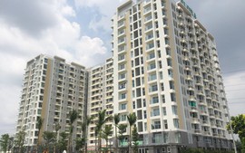 TP. Hồ Chí Minh giao kiểm tra phản ánh về chất lượng chung cư