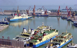 Bộ GTVT phản hồi kiến nghị của doanh nghiệp vận tải biển