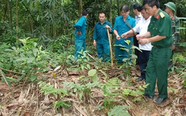 Bộ Quốc phòng thông tin về tìm mộ liệt sĩ Đỗ Văn Chấn