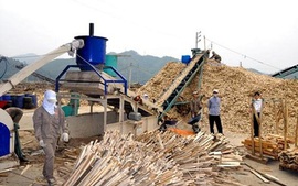 Ghi nhận kiến nghị DN về điều chỉnh thuế xuất khẩu dăm gỗ