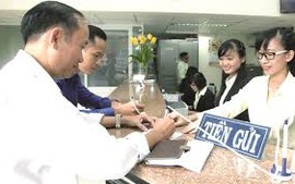 Bảo hiểm tiền gửi Việt Nam được kiểm tra, giám sát thế nào?