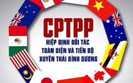 Hiệp định CPTPP có hiệu lực với thành viên khi nào?