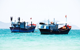 Agribank phản hồi kiến nghị của ông Trần Dành về khoản vay đóng tàu