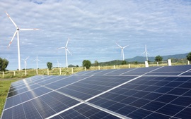 Hỗ trợ tối đa cho các nhà máy điện mặt trời phát điện vận hành thương mại