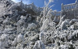 Bắc Bộ, Bắc Trung Bộ rét đậm, rét hại; vùng núi cao có nơi khoảng 0 độ C; đề phòng mưa tuyết, băng giá