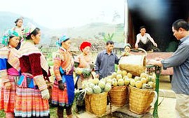 Kinh nghiệm xóa nghèo của phụ nữ vùng cao Bản Lầu