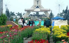 Tổ chức các điểm bán hoa tập trung ở các quận ngoại thành và huyện Hòa Vang