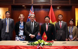 DPM Minh holds bilateral meetings at APEC Economic Leaders’ Week
