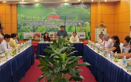 10 quốc gia, vùng lãnh thổ tham gia Liên hoan trà Quốc tế- Thái Nguyên 