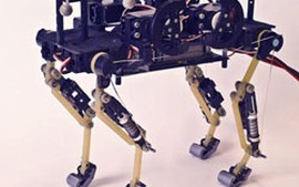 Robot “báo đốm” của Thụy Sĩ