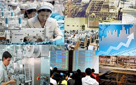 Chuyên gia kinh tế nói về Đề án tổng thể tái cơ cấu kinh tế