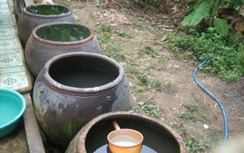 Đồng Tháp phòng, chống bệnh sốt xuất huyết mùa mưa