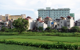 Hà Nội kiểm tra xử lý lấn chiếm đất đai, vi phạm xây dựng