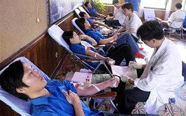 TP Hồ Chí Minh: Duy trì, phát triển mô hình ngân hàng máu