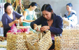 Thái Bình: Tạo việc làm cho 14.600 lao động