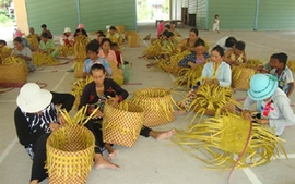 Hậu Giang lập hệ thống cộng tác viên hỗ trợ việc làm