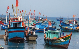 Bình Định: Hơn 1.300 giấy phép tần số vô tuyến điện cho tàu cá