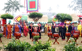 Tổ chức “Hội thi Cây chè đẹp” 