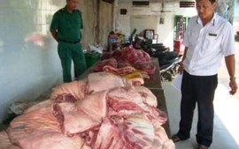 TPHCM: Không phát hiện chất tạo nạc trong mẫu thịt lợn xét nghiệm