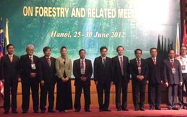 ASEAN chia sẻ kinh nghiệm bảo vệ rừng