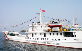 Chinese ships maintain aggressive acts in VN’s waters 