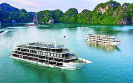 Quang Ninh ready for re-serving int’l tourists