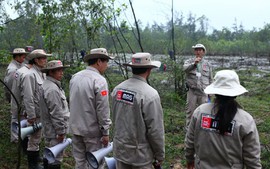 MAG: Hỗ trợ Việt Nam rà phá bom mìn