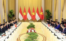 VN, Indonesia Presidents look to lift two-way trade to US$10 billion 