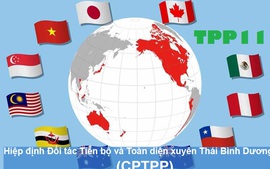 Viet Nam enjoys trade surplus with CPTPP markets 