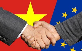 Viet Nam-EU trade posts double-digit growth despite COVID-19