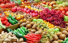 Viet Nam becomes biggest importer of Cambodia’s farm products