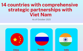 INFOGRAPHICS: Viet Nam's 14 top-tier partnership frameworks