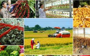 Bộ trưởng Lê Minh Hoan: Lấy thị trường để tái cấu trúc nền nông nghiệp