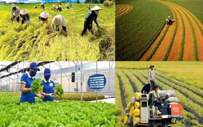 Mô hình kinh tế tuần hoàn đặc biệt quan trọng đối với lĩnh vực sản xuất nông nghiệp bền vững
