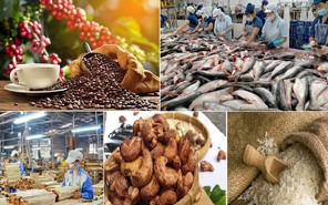 Giữ vững đà tăng trưởng, mở rộng thị trường xuất khẩu