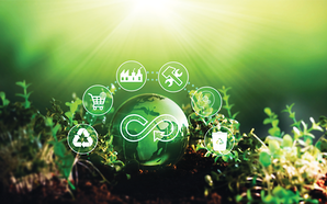 Advancing circular waste solutions and potential of co-processing in Viet Nam