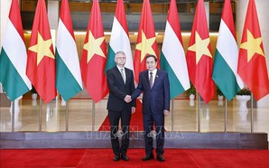 Top Vietnamese, Hungarian legislators hold talks in Ha Noi
