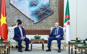 Traditional friendship between Viet Nam and Algeria is priceless asset: President Abdelmadjid Tebboune