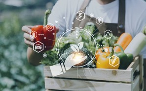 Viet Nam emerges as a major global food supplier